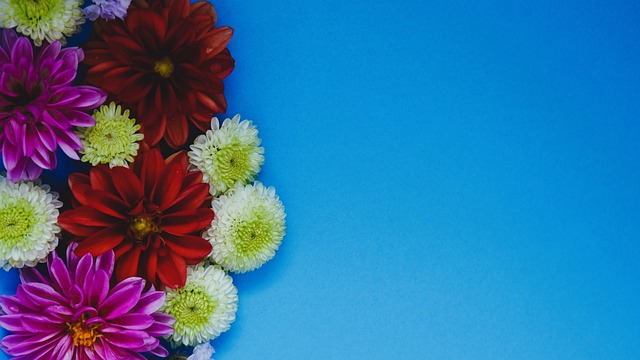 坛的一次重 坛的一次重