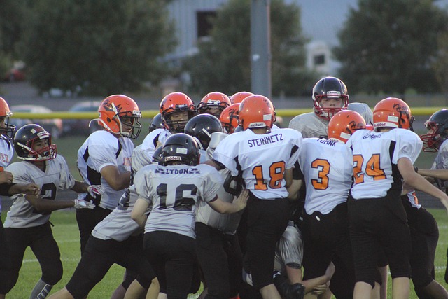 预见性和意 预见性和意