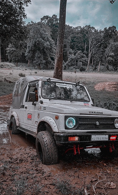 尼奥是否首 尼奥是否首