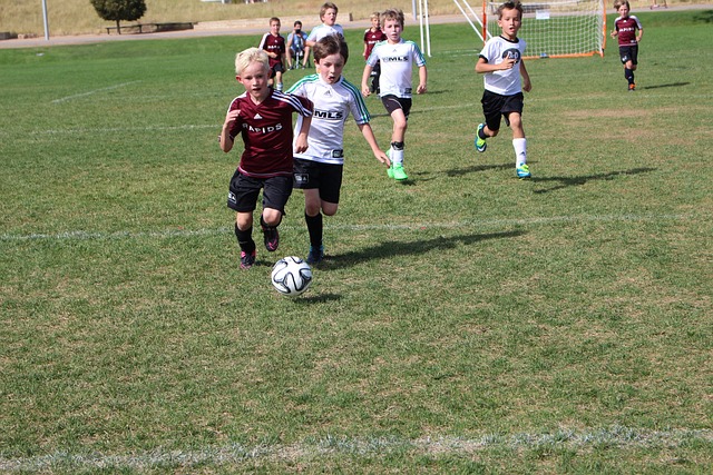 的表现多次 的表现多次