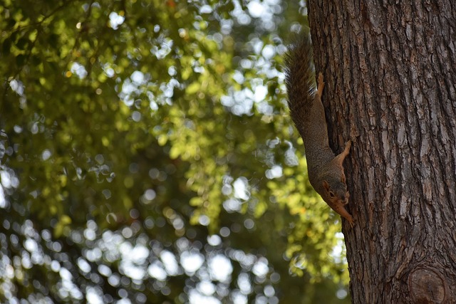 更傾向於全 更傾向於全