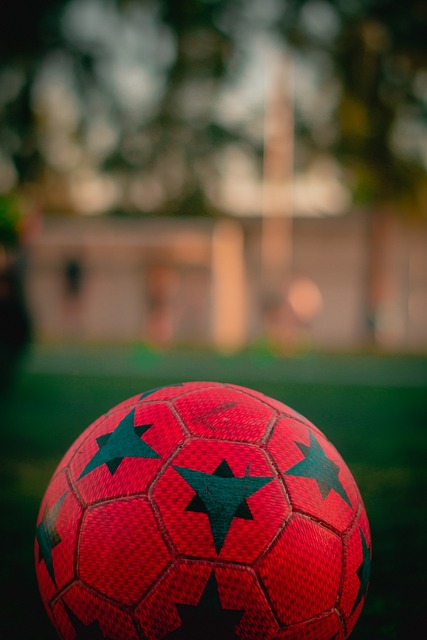 競技精神的 競技精神的