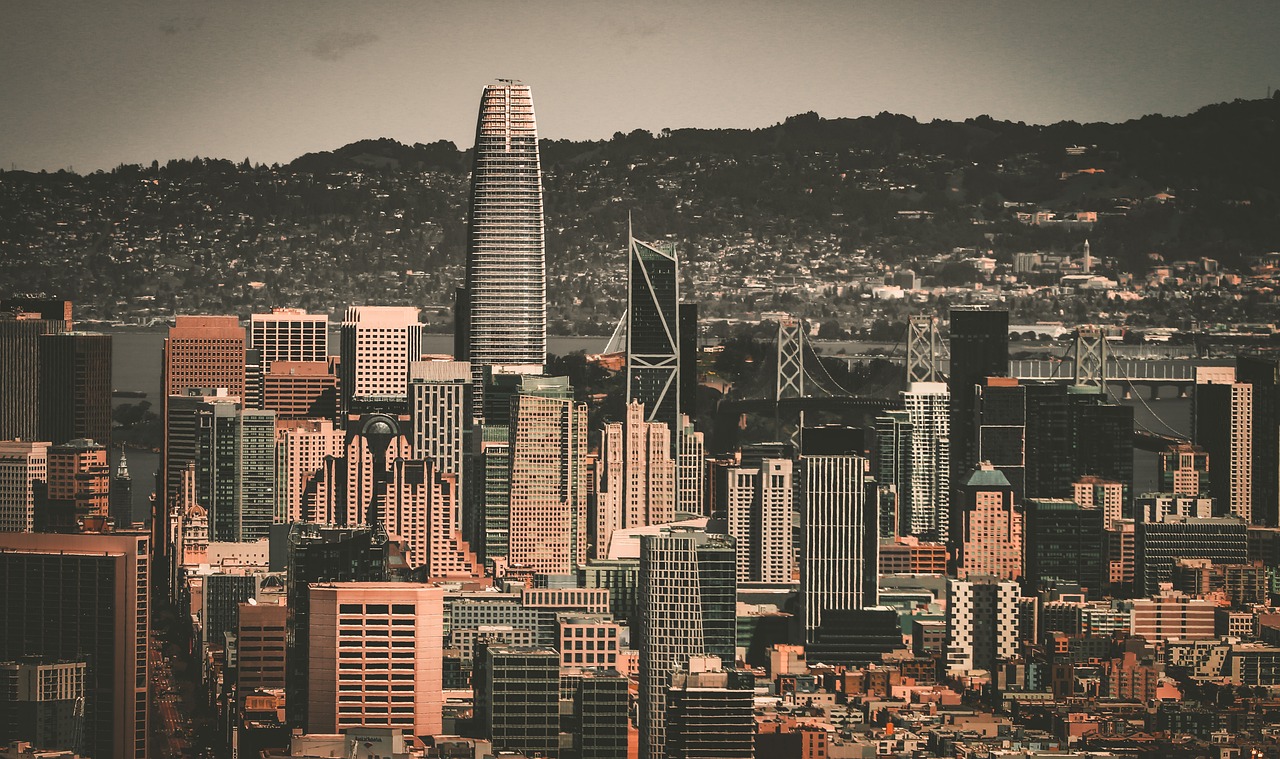 而非一场毫 而非一场毫