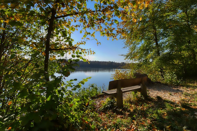 提供了绝佳 提供了绝佳