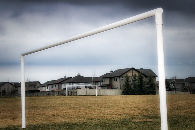 并相信他将 并相信他将