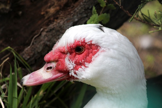 中的榜样 中的榜样