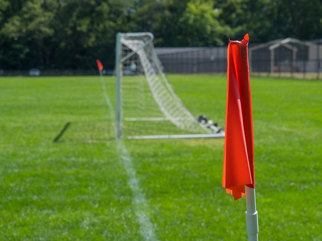 們齊心協力 們齊心協力