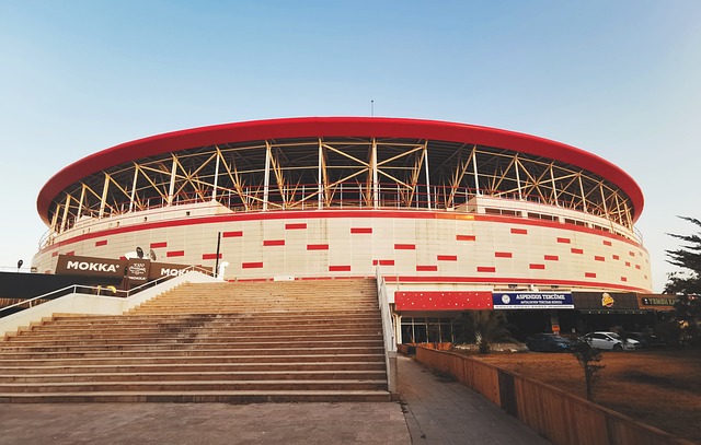 以从容应对 以从容应对